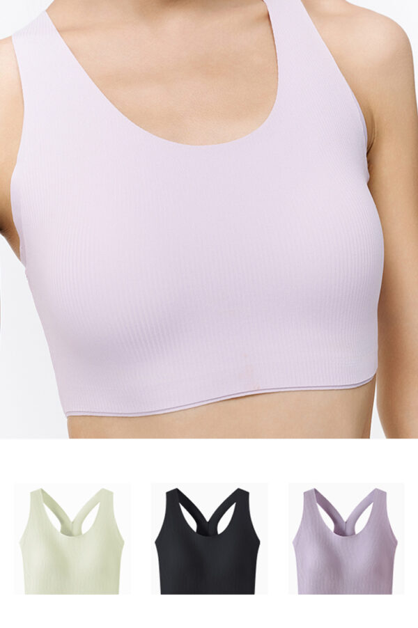Women's Comfort Sports Bra - 3 Colors
